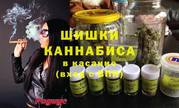 мяу мяу мука Белокуриха