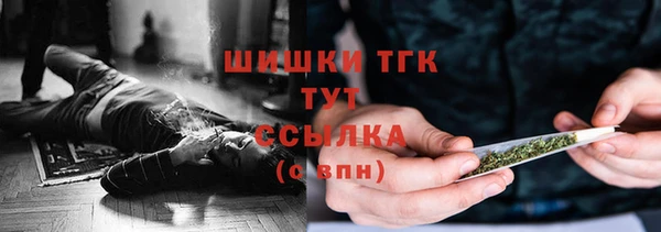 мяу мяу мука Белокуриха